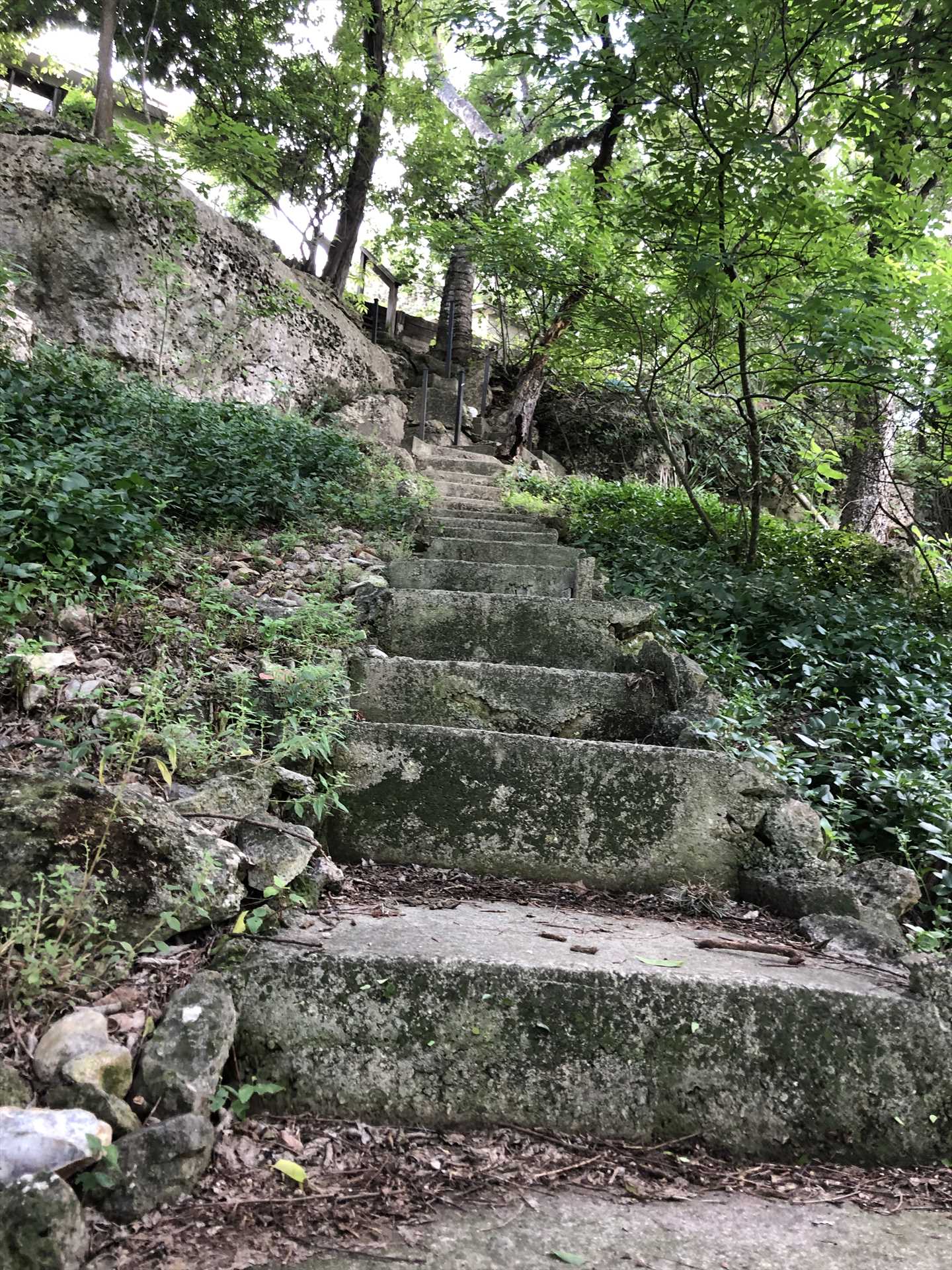                                                 Your adventure on the Medina River begins by descending this scenic staircase.