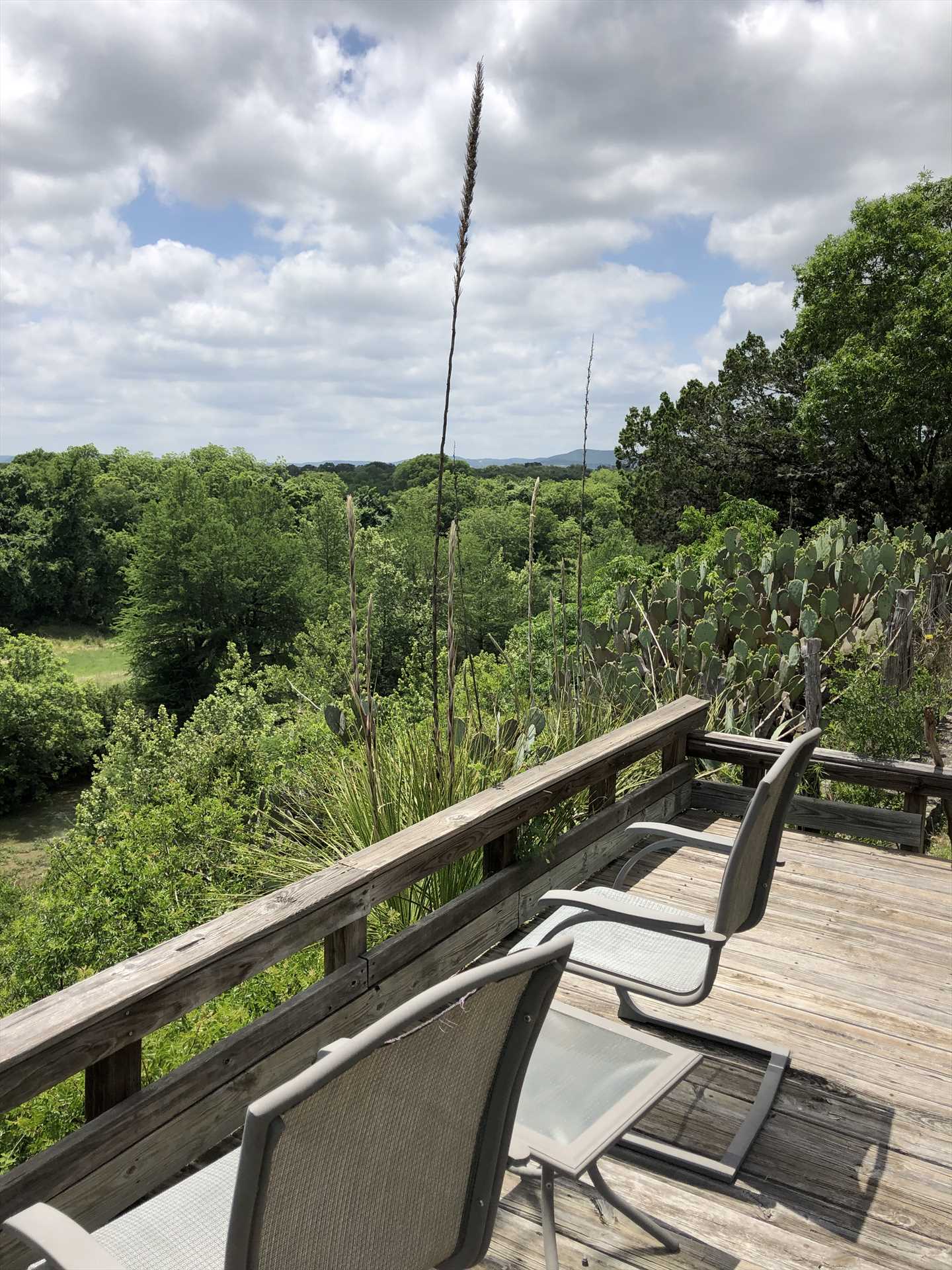                                                 Relax on the sun deck as you take in bird's eye, treetop views of the Hill Country!