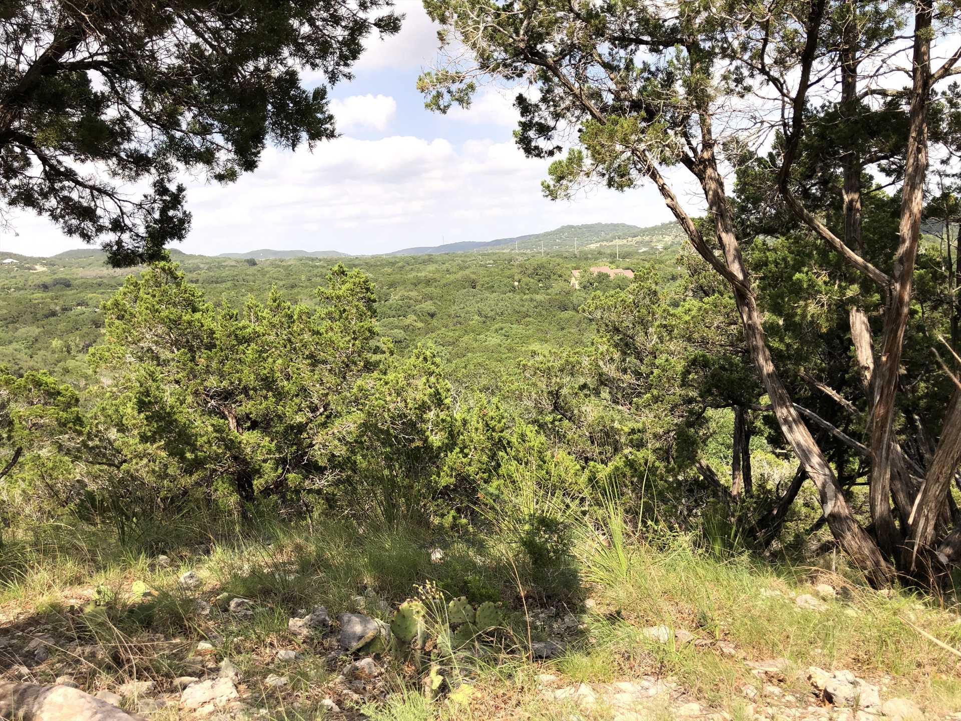                                                 Kick back and admire the wildlife, sunsets, glittering night skies, and Hill Country views that seem to go on forever!