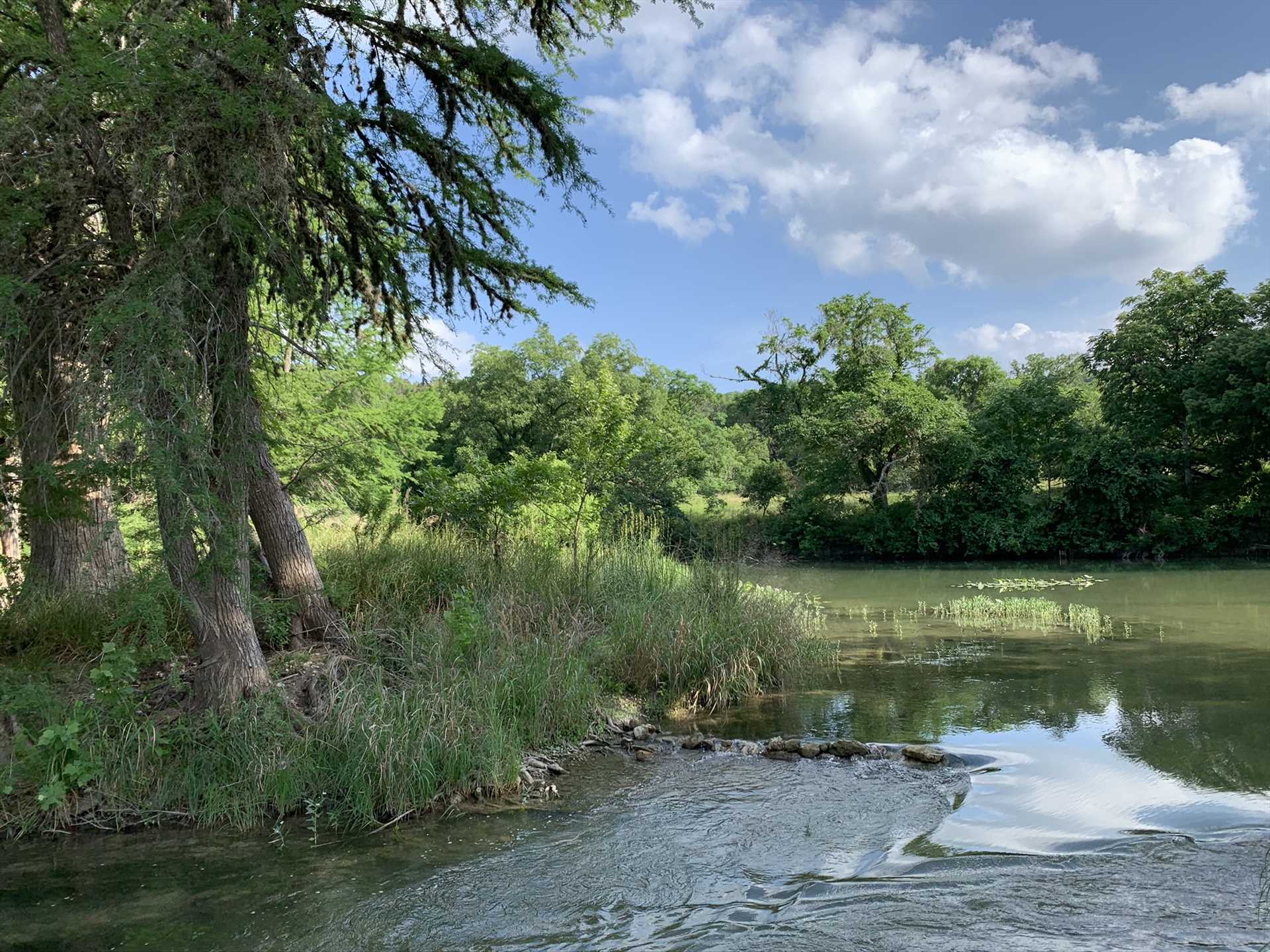                                                 Grab a tube, a rod and reel, or just take a plunge into the cool and refreshing waters of the Guadalupe!