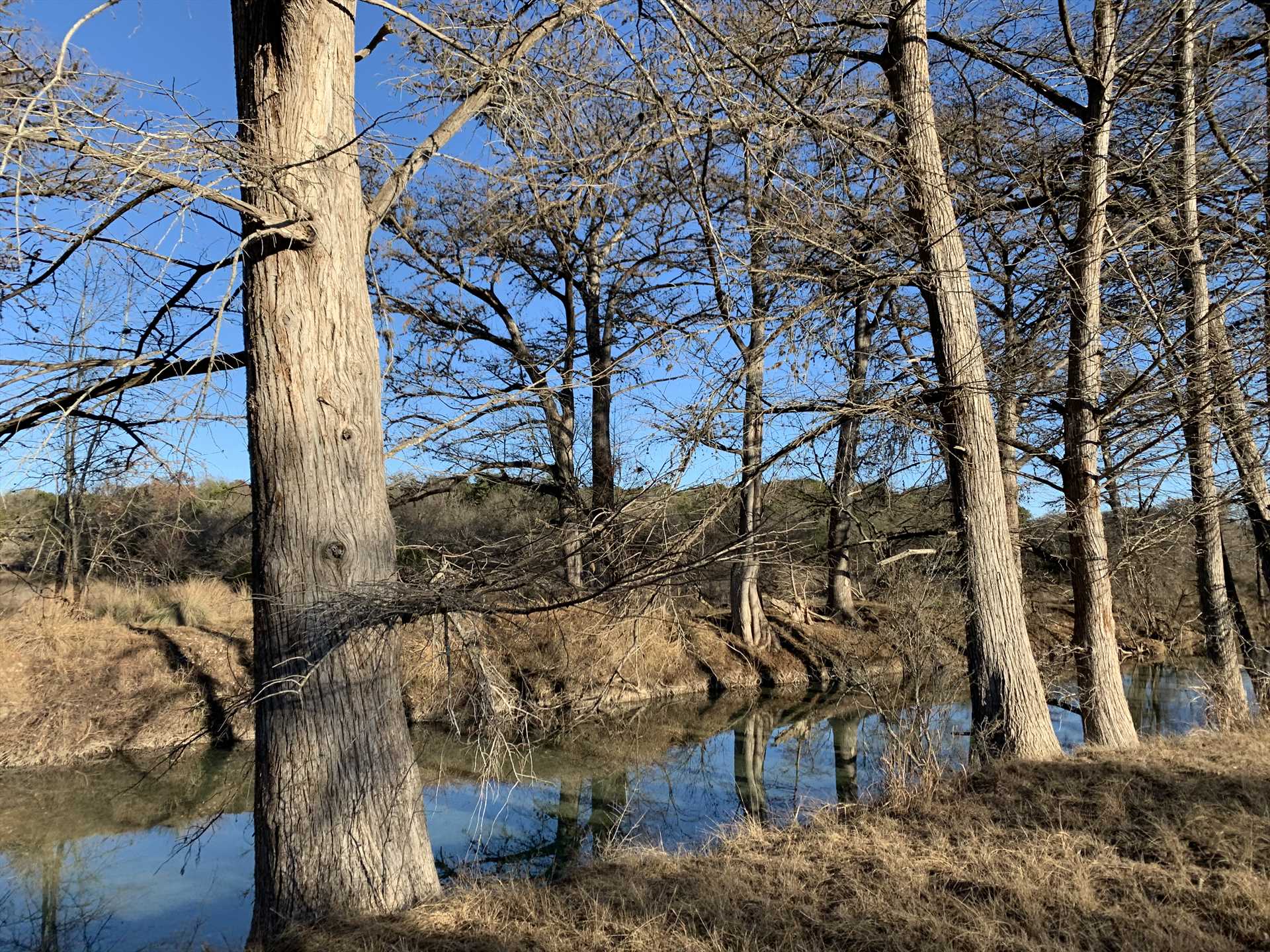                                                 Fish, swim, and hike the tree-lined banks of the Medina! There's tons of wildlife here, and plenty of shady spots where you can clear your mind.