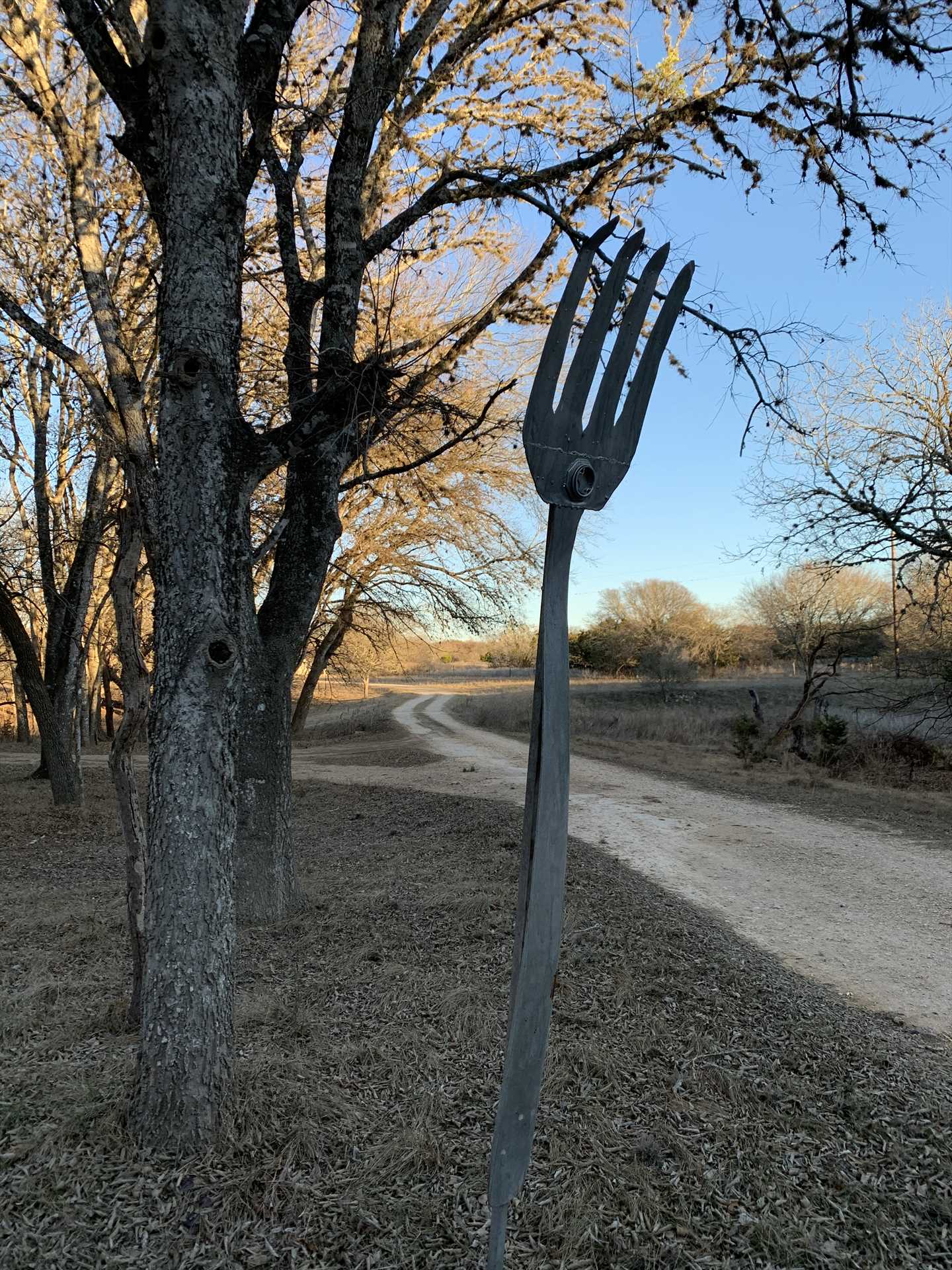                                                 What do you do when you encounter a fork in the road? Well, luckily, this one's off to the side!