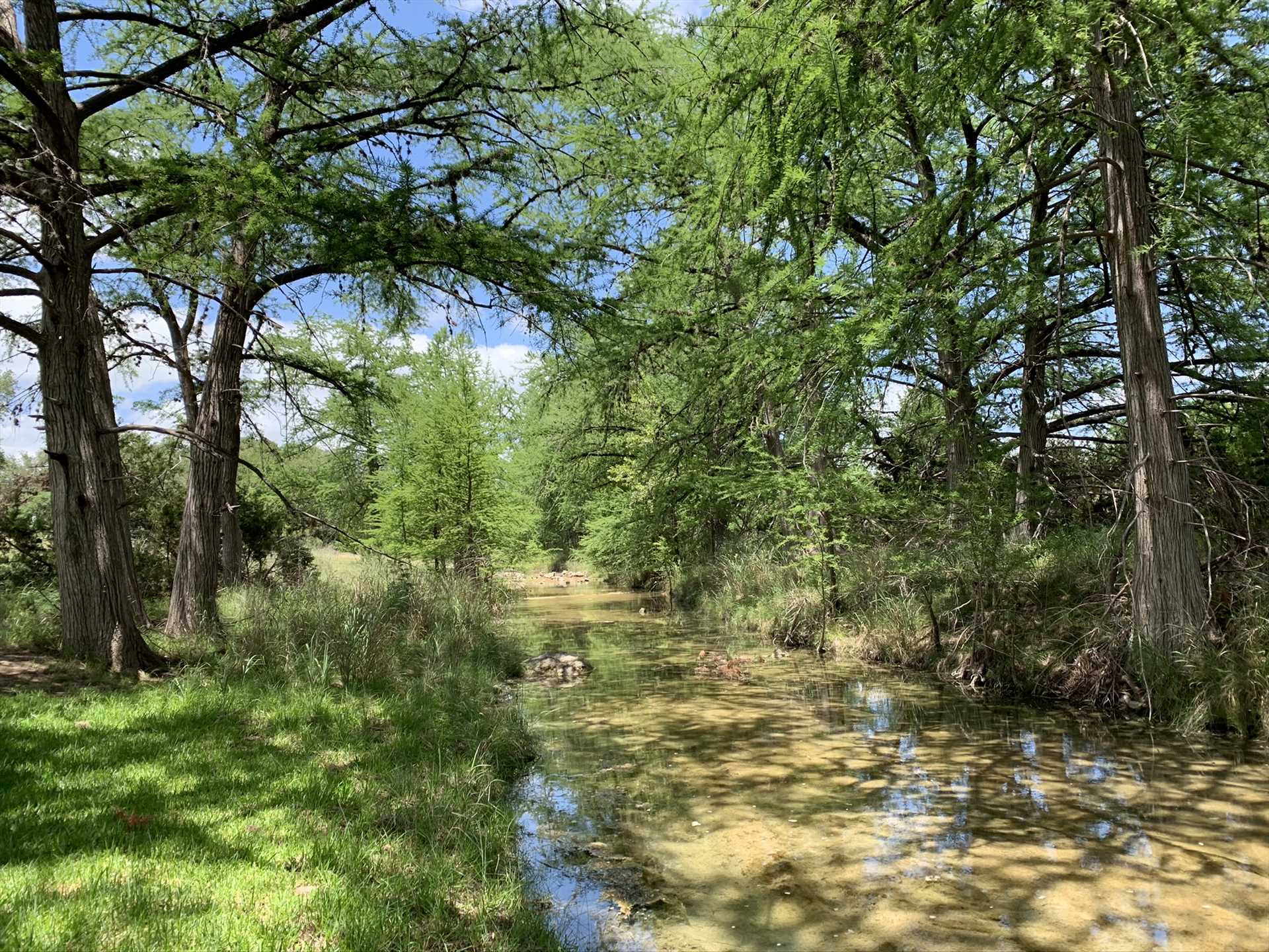                                                 The quiet country setting is ideal for wildlife and bird watching-or just kicking back and enjoying the beauty of the Hill Country.