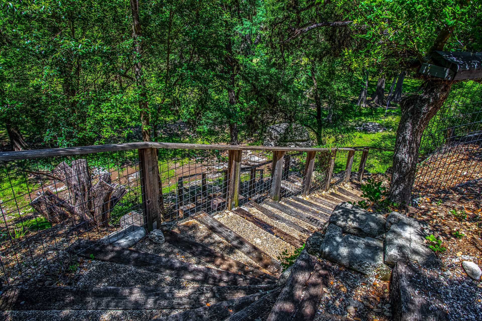                                                 These steps are your pathway to your private access to the Medina River!
