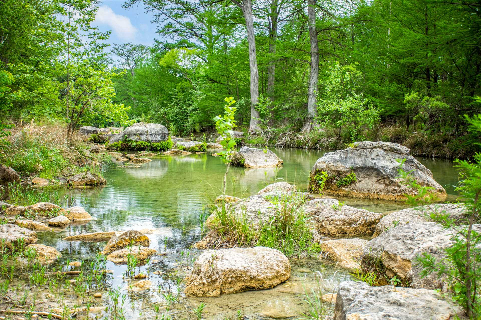                                                 Cool off and enjoy the serene and relaxing beauty of the Hill Country in this riverside paradise!