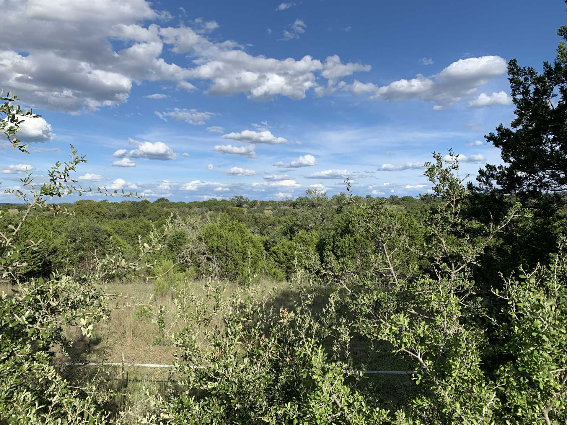                                                 This is your view from the deck! 30 acres of ranch to explore and enjoy, as well as those inspiring Hill Country vistas.