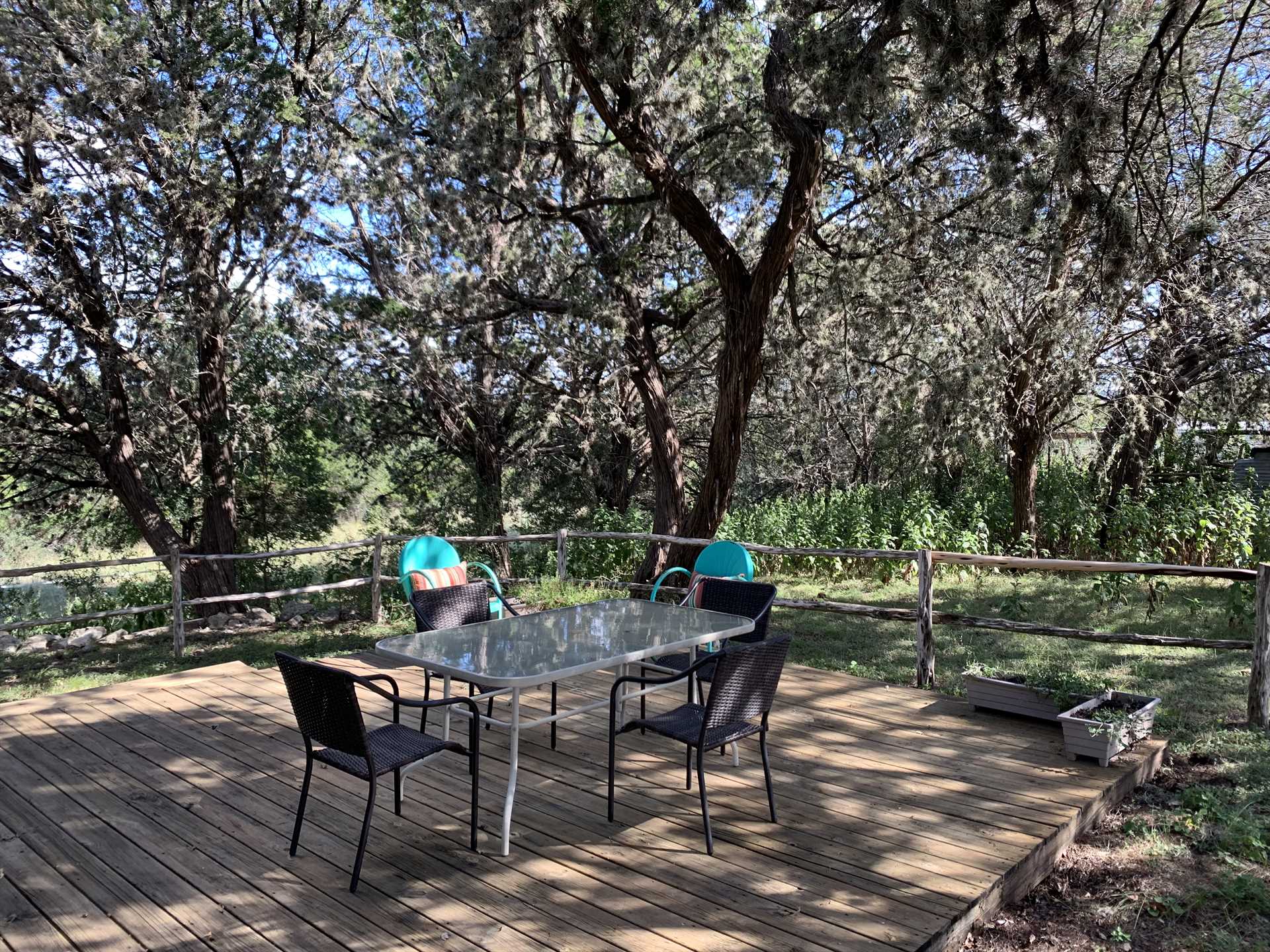                                                 The shaded deck is a paradise for both nature lovers and amateur astronomers!