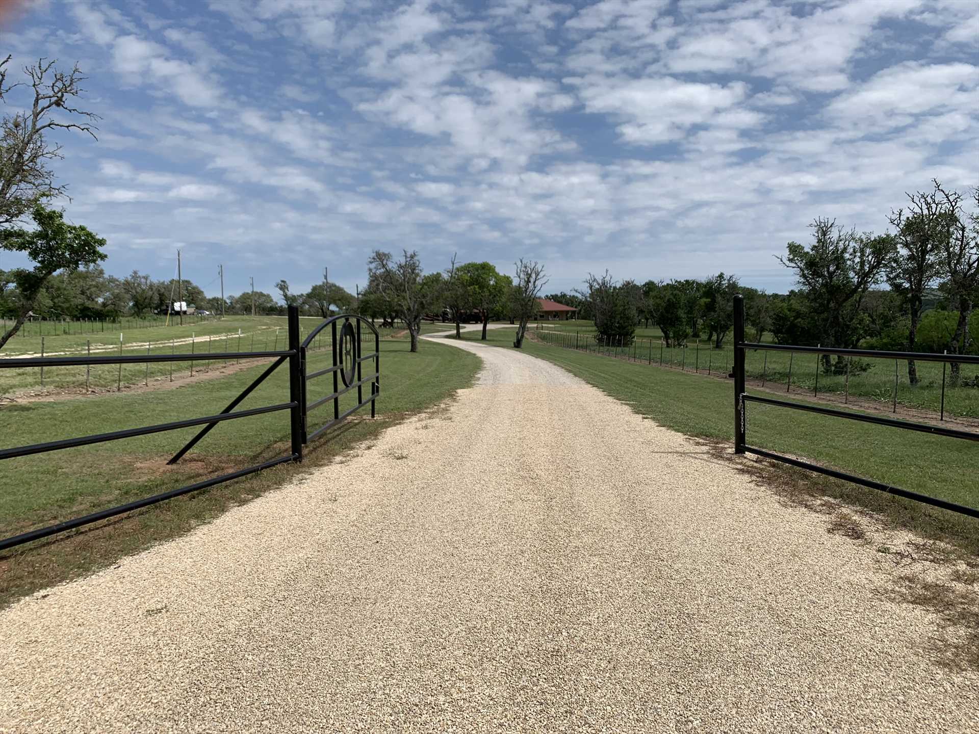                                                 Country roads wind under the wide-open Texas skies here in the Hill Country, and our visitors love to take scenic tours of the region!