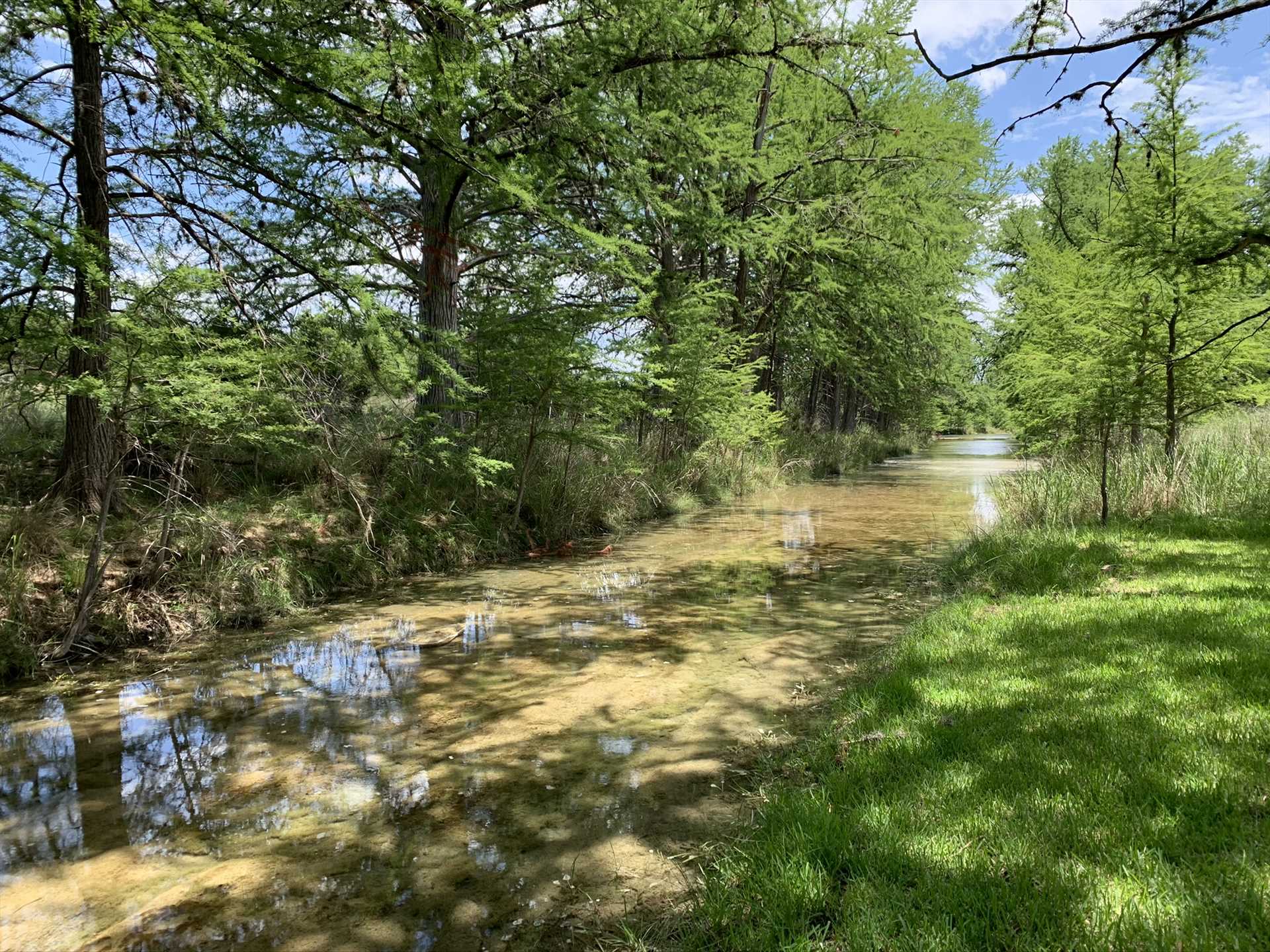                                                 Beautiful Bandera Creek is very close to the property, providing space to relax and watch birds and other wildlife.