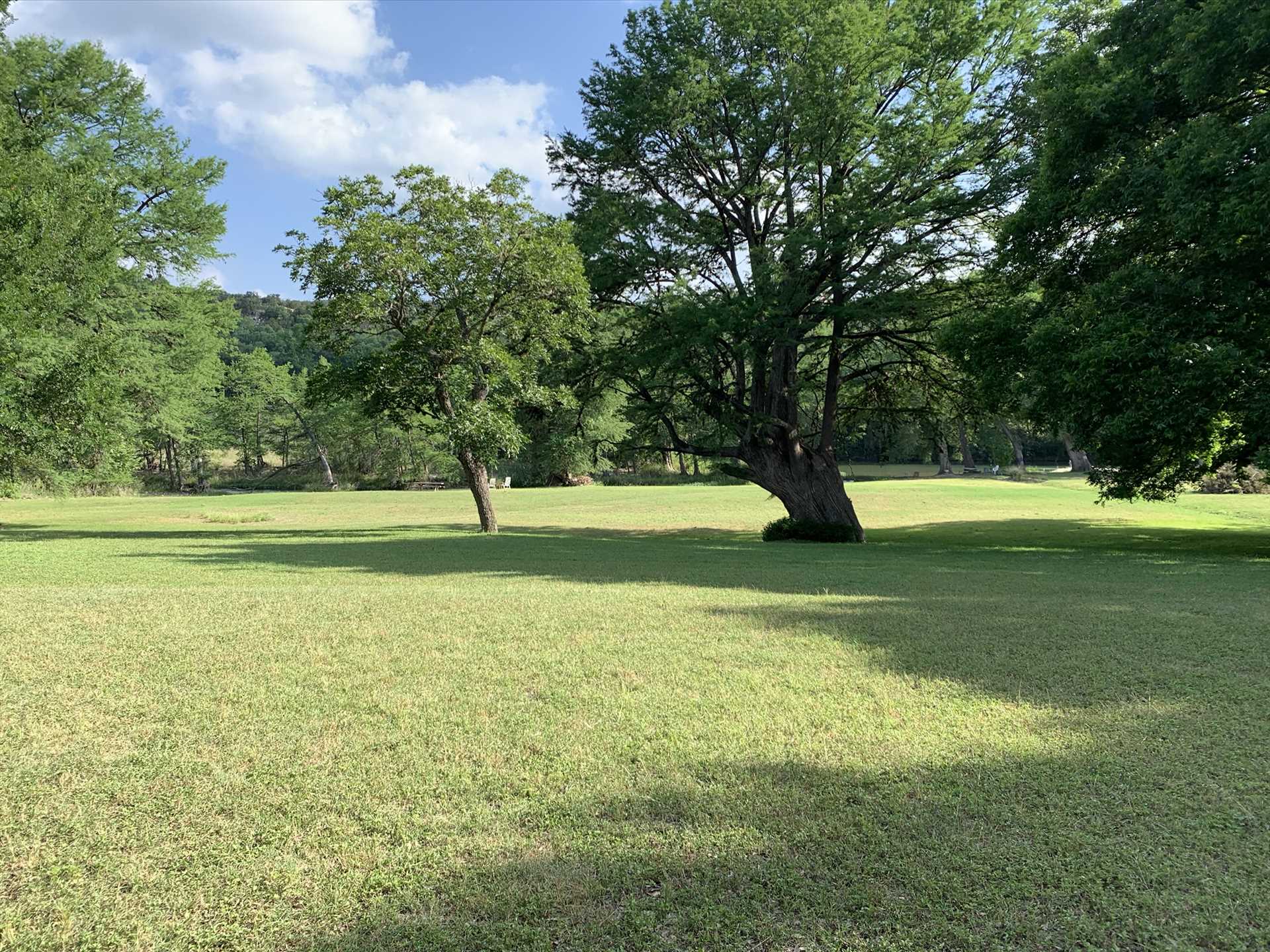                                                 Picturesque trees under the wide-open Texas skies provide a beautiful backdrop for photos, stargazing, wildlife watching, and more!