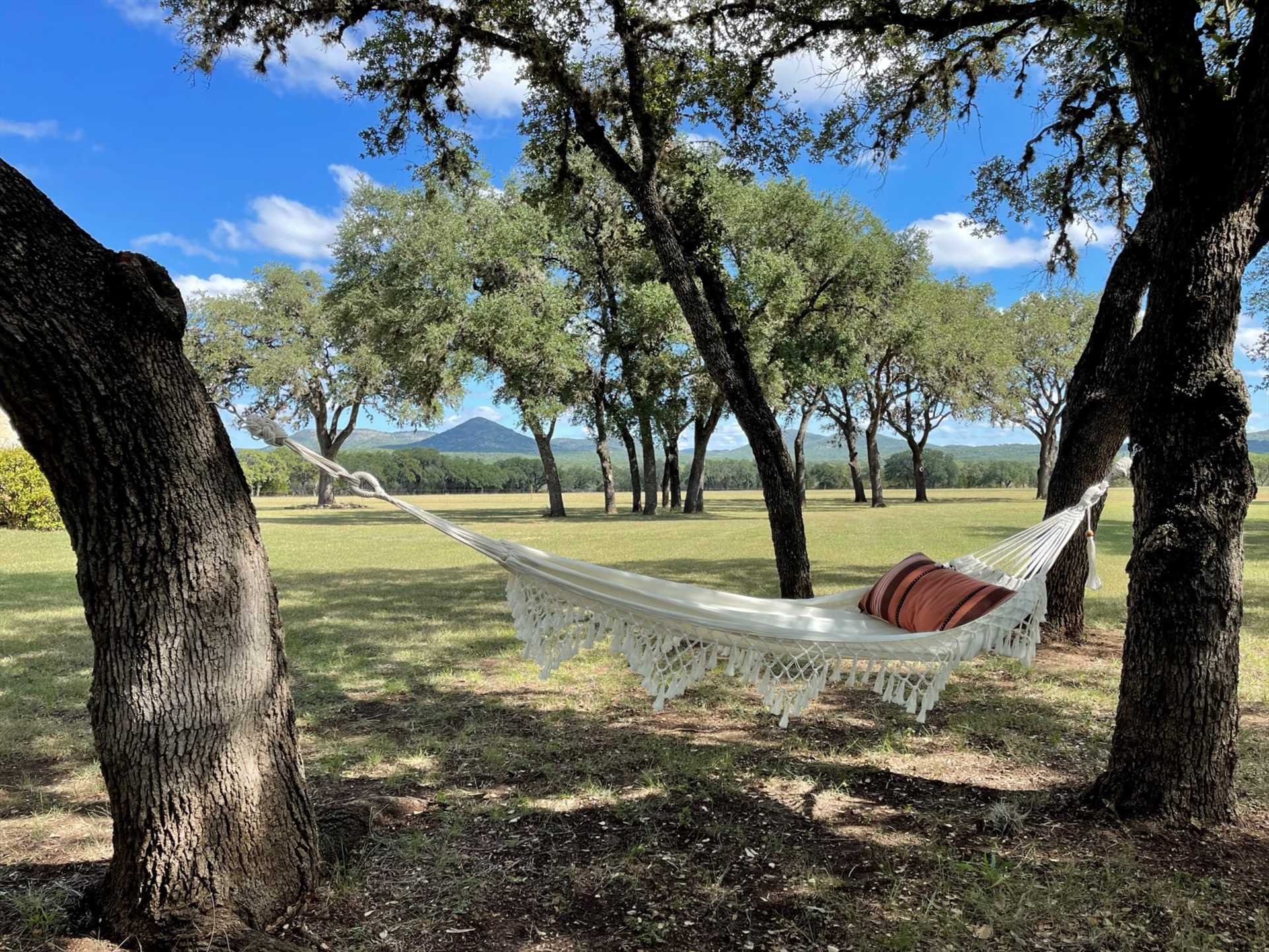                                                 We won't tell anyone if you sneak off for a quiet moment or two on the comfy tree-mounted hammock!