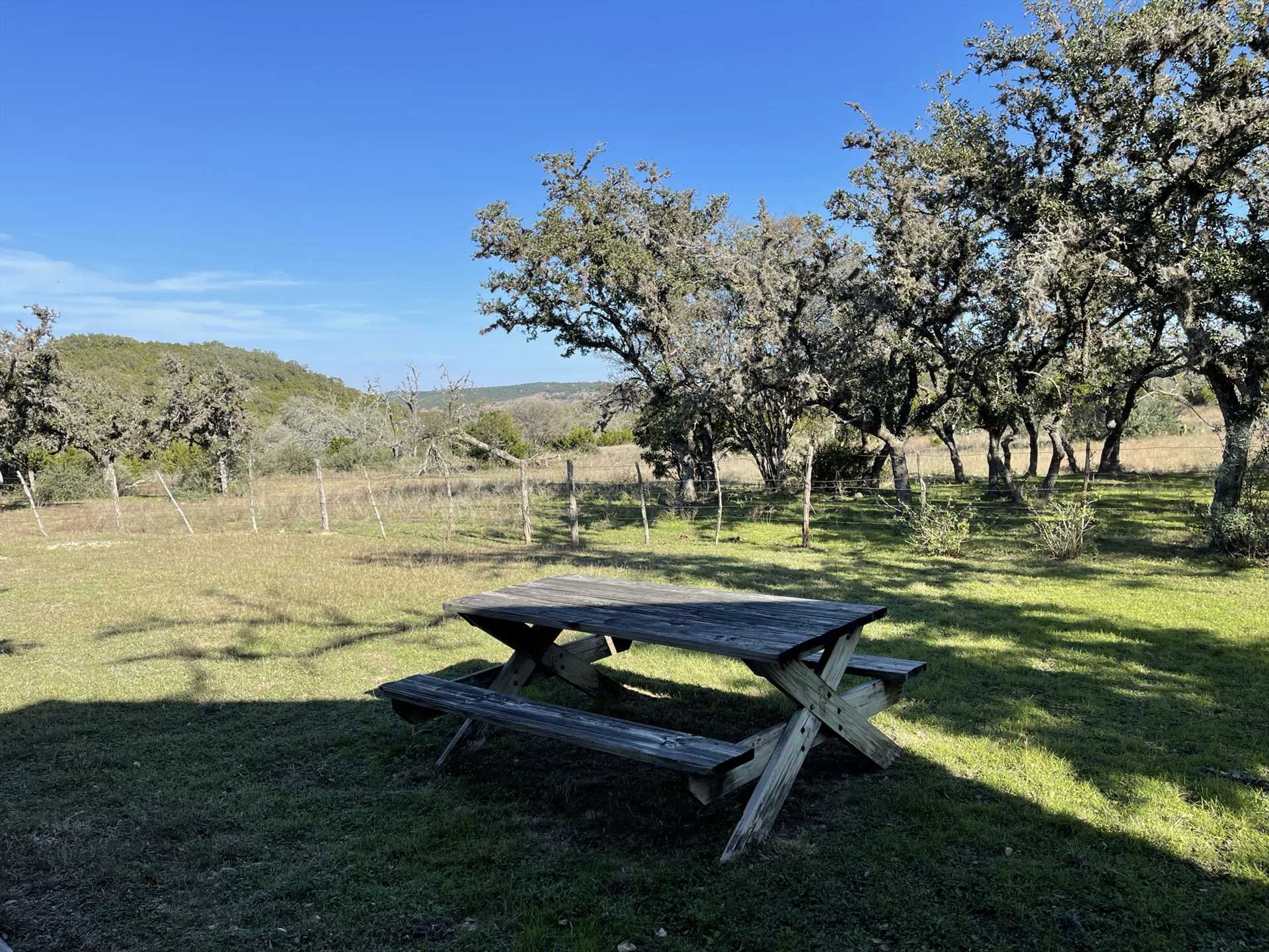                                                 You'll have 230 acres of grounds and trails to explore at West 1077 Guest Ranch-and the Hill Country State Natural Area's right next door, too!