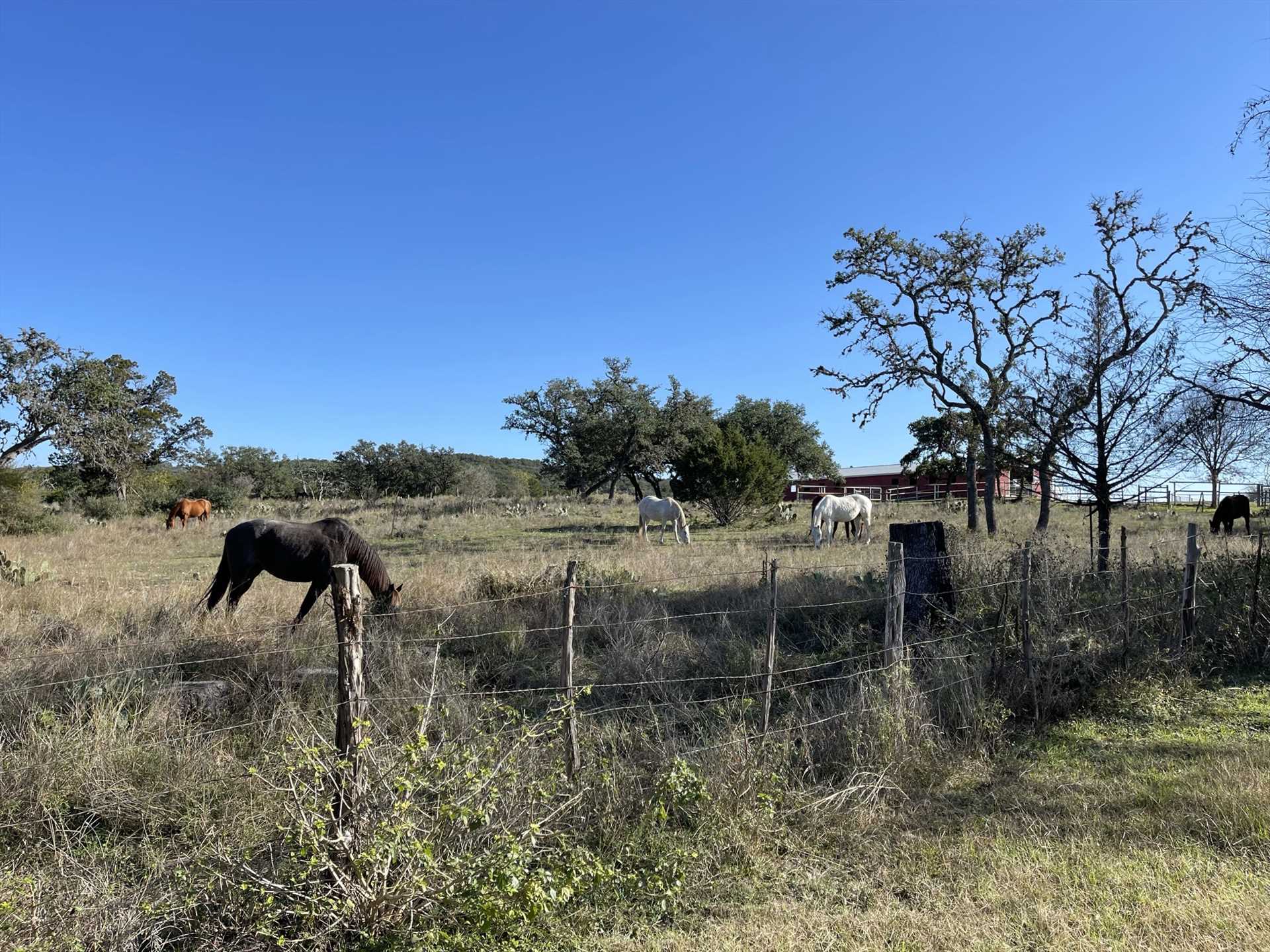                                                 Juniper Hill Stables shares the property at West 1077 Guest Ranch, and they offer trail riding packages. Ask us about boarding your own horse, too!