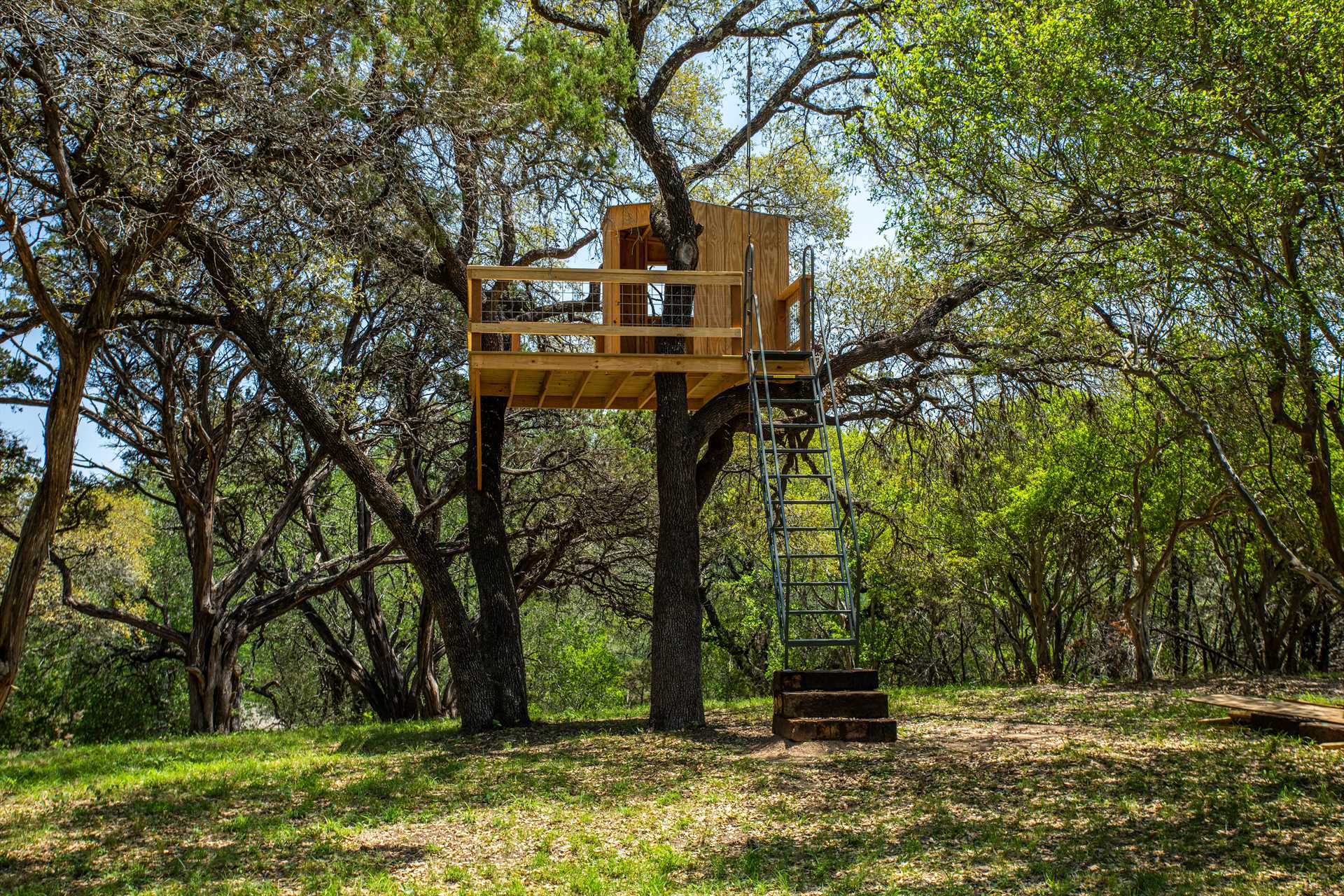                                                 The custom treehouse has a sheltered lookout, where you can enjoy an elevated view of the surrounding Hill Country!